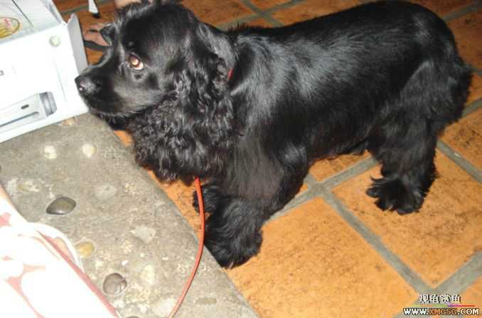 ����--����С�۵ĺõط�~����������������Ƭ��