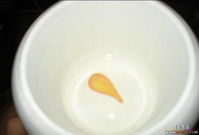 [ԭ��]����������