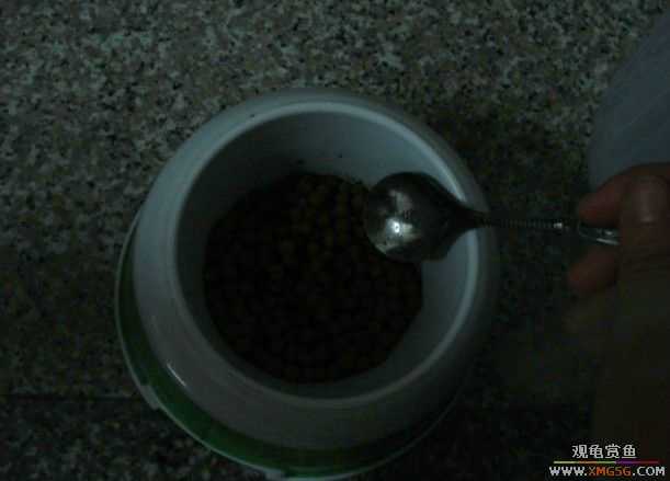 [ԭ��]����������