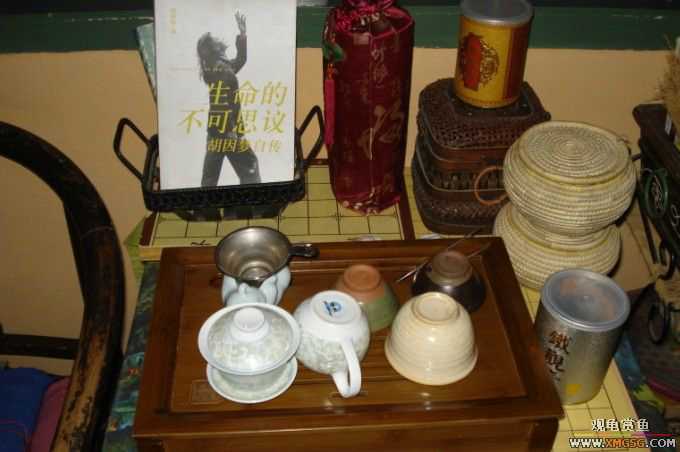 ����--����С�۵ĺõط�~����������������Ƭ��