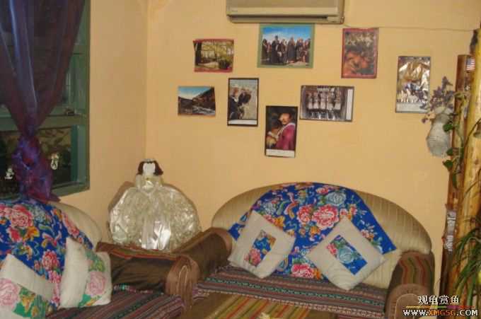 ����--����С�۵ĺõط�~����������������Ƭ��