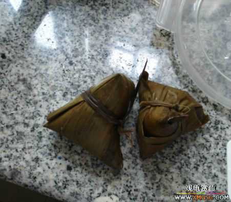 [ԭ��]�����ҵ�С���ӡ�