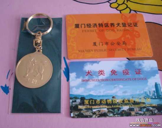 [ԭ��]�Ҽҹ��������ţ����ڣ�