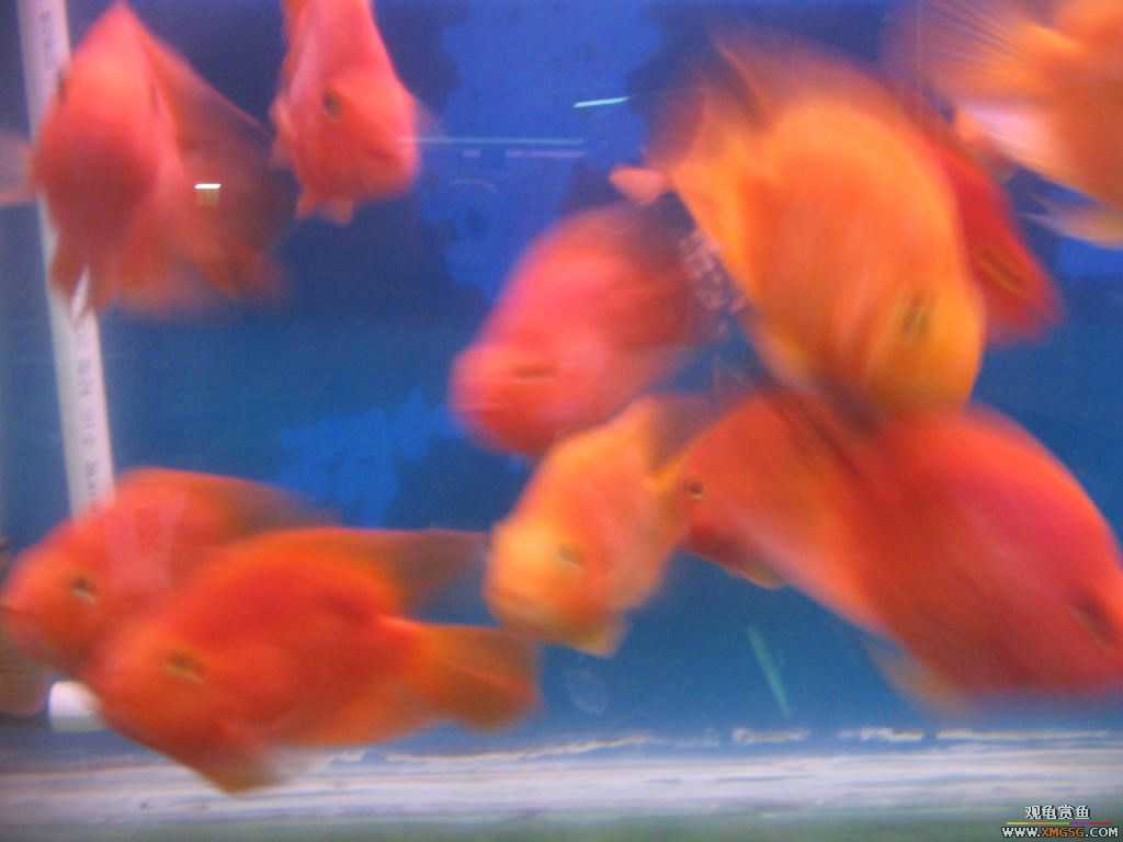 [�̼�]������֮�� ����·