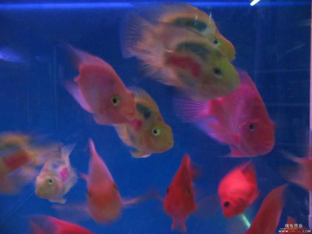 [�̼�]������֮�� ����·