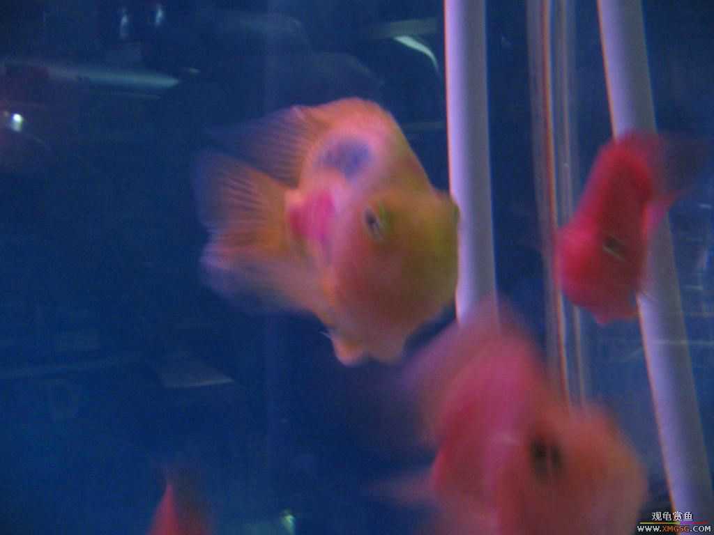 [�̼�]������֮�� ����·