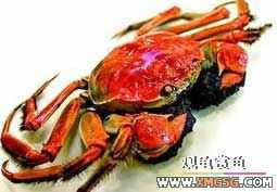 [ת��]����12�����ʳ���а�