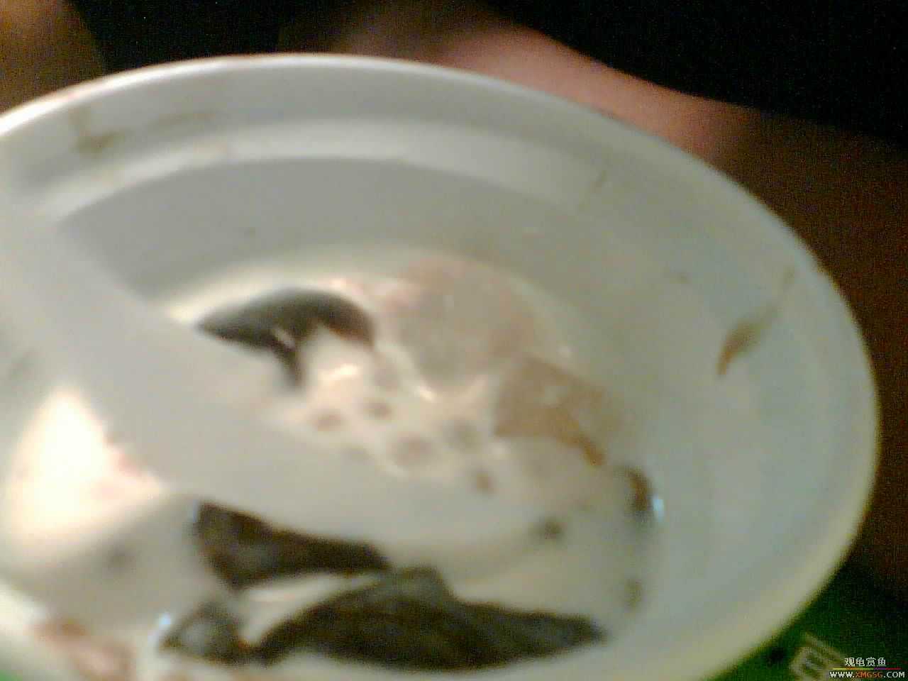 �������ĵ㡭��