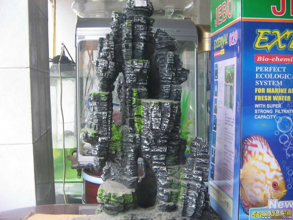 [�̼�]������֮�� ����·