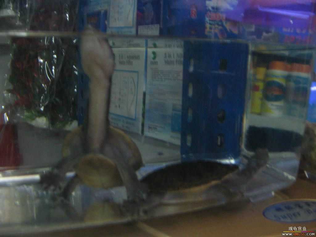 [�̼�]������֮�� ����·