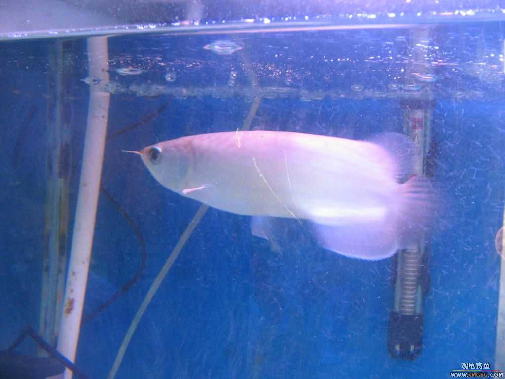 [�̼�]������֮�� ����·