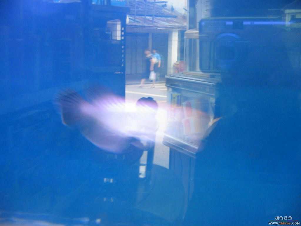 [�̼�]������֮�� ����·