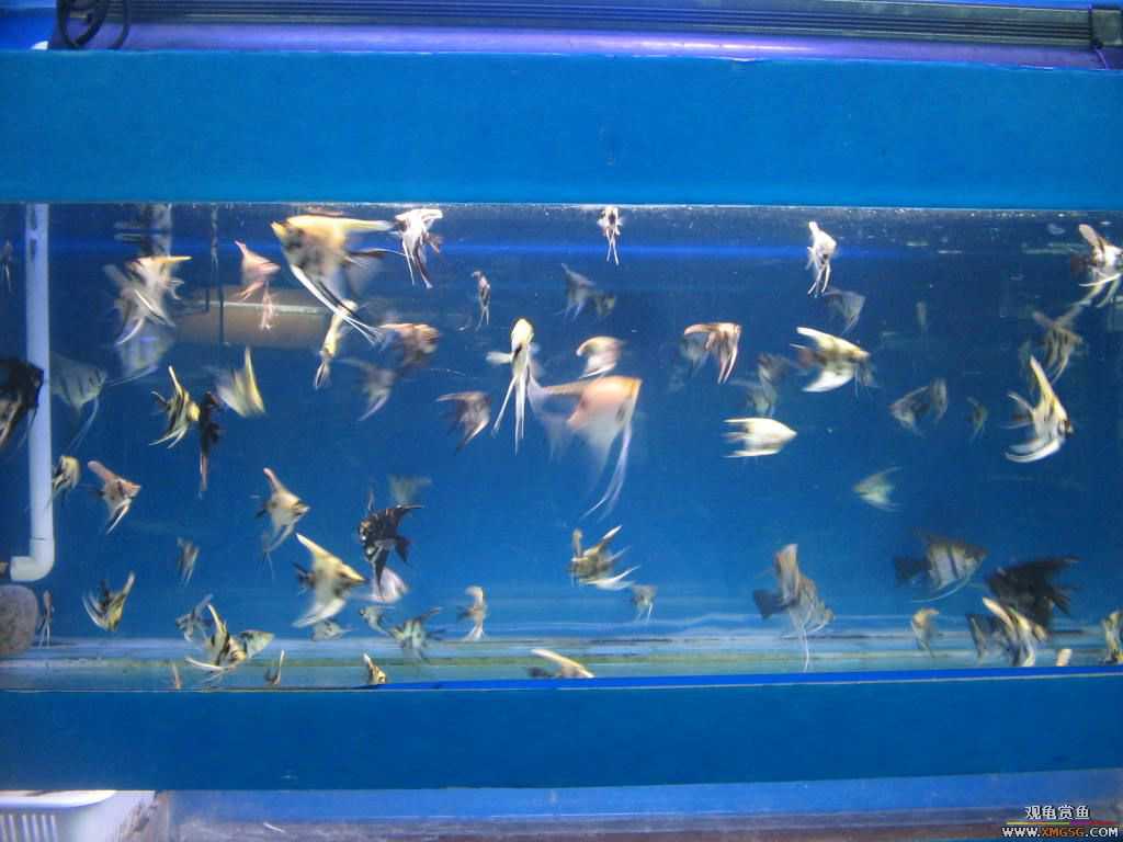 [�̼�]������֮�� ����·