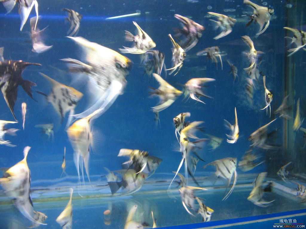 [�̼�]������֮�� ����·