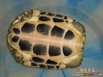 [ԭ��]l��������ֻ��