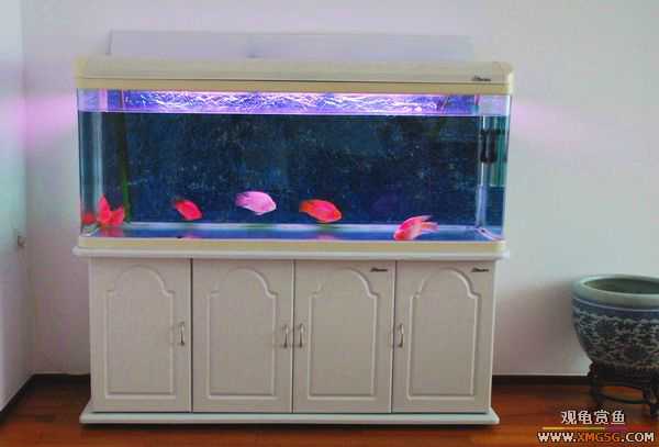 [ԭ��]������