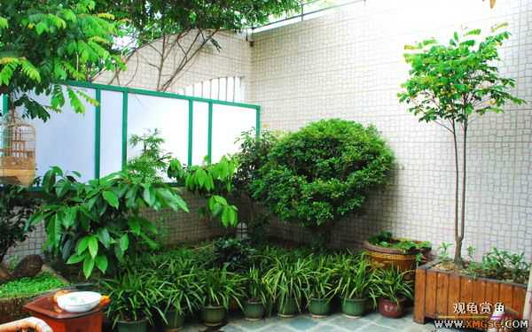 [ԭ��]������