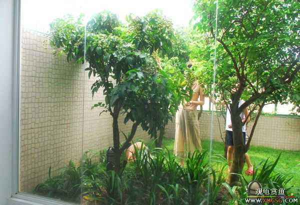 [ԭ��]������