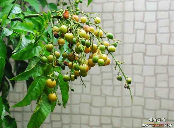 [ԭ��]������