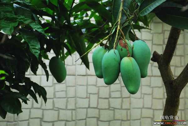 [ԭ��]������