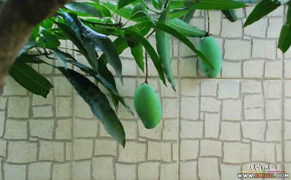 [ԭ��]������