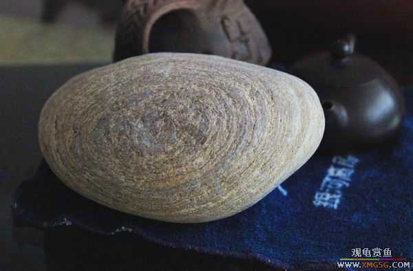 [ԭ��]������