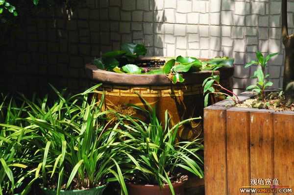 [ԭ��]������