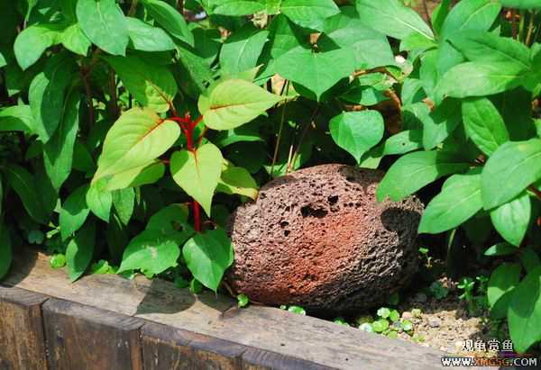 [ԭ��]������