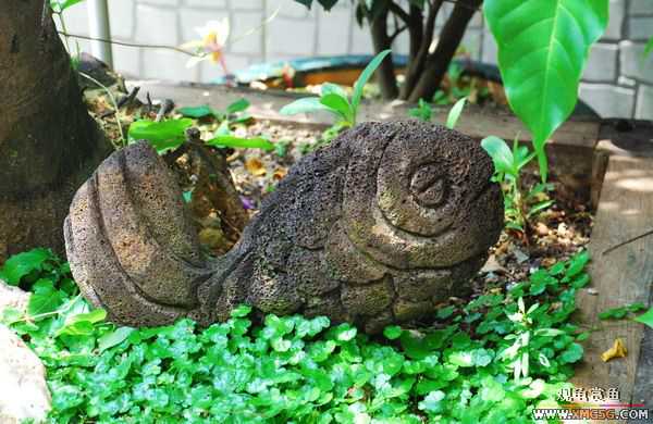 [ԭ��]������