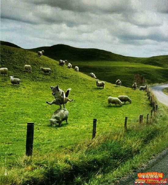 [��ͼ]����ǵķ����˶���