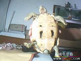 ����ֻ��½���루ͼ��