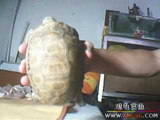 ����ֻ��½���루ͼ��