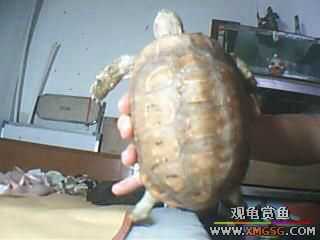 ����ֻ��½���루ͼ��