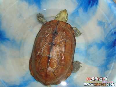 [ԭ��]���������ˡ��Ǻǡ�