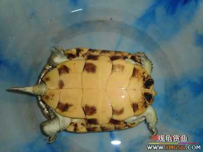 [ԭ��]���������ˡ��Ǻǡ�