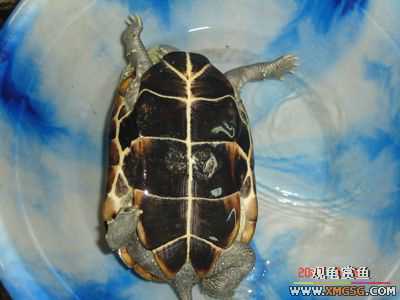 [ԭ��]���������ˡ��Ǻǡ�