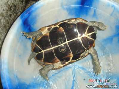 [ԭ��]���������ˡ��Ǻǡ�