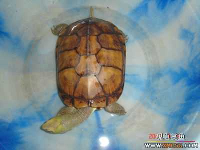 [ԭ��]���������ˡ��Ǻǡ�