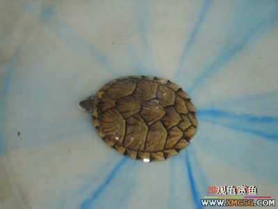 [ԭ��]���������ˡ��Ǻǡ�