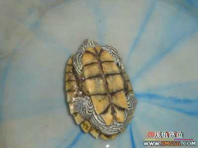 [ԭ��]���������ˡ��Ǻǡ�