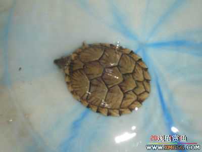 [ԭ��]���������ˡ��Ǻǡ�