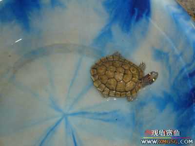 [ԭ��]���������ˡ��Ǻǡ�