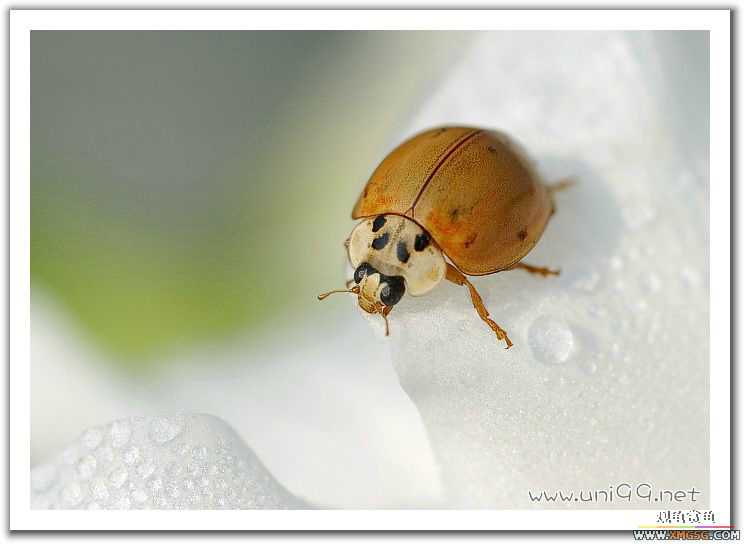 [��ͼ]�������ǵ�������