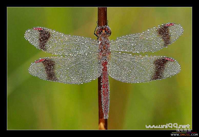 [��ͼ]�������ǵ�������