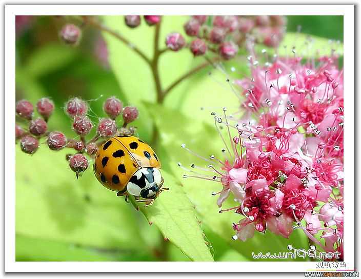 [��ͼ]�������ǵ�������