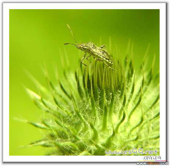 [��ͼ]�������ǵ�������