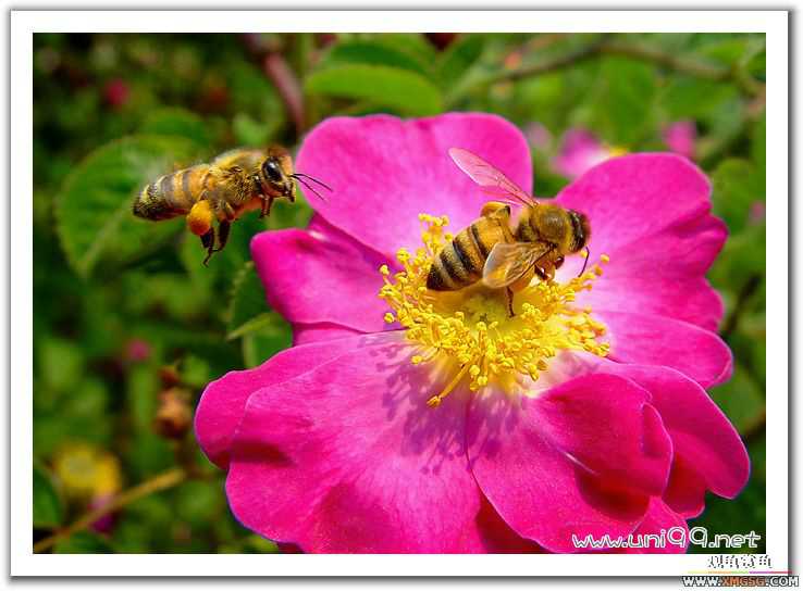 [��ͼ]�������ǵ�������