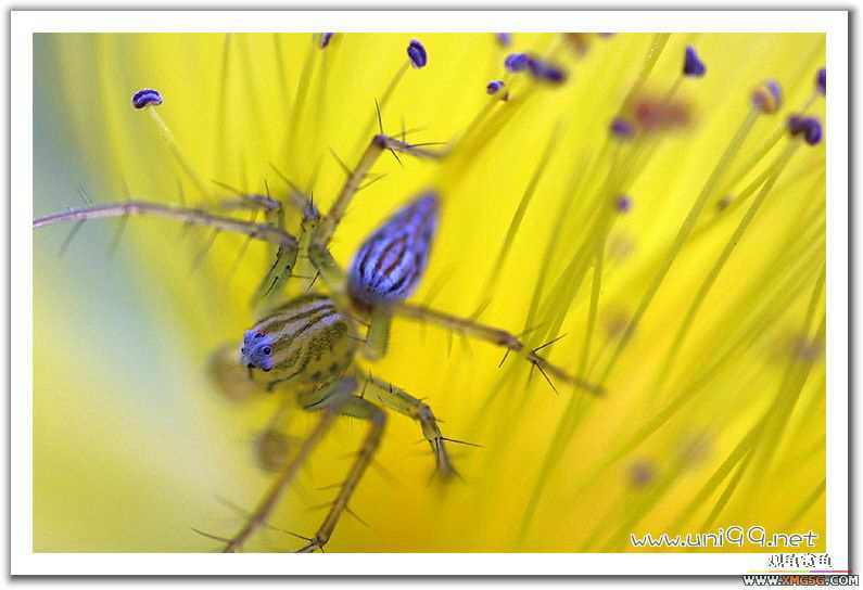 [��ͼ]�������ǵ�������