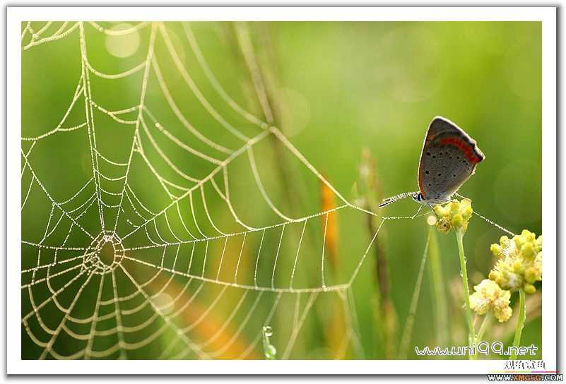 [��ͼ]�������ǵ�������