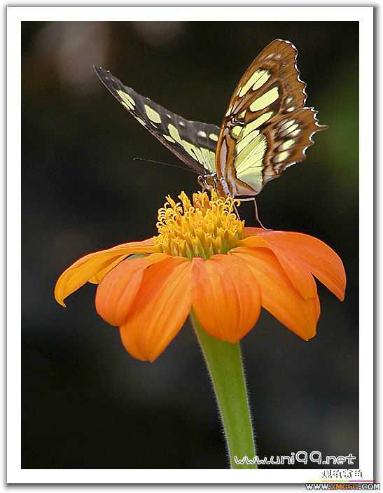 [��ͼ]�������ǵ�������